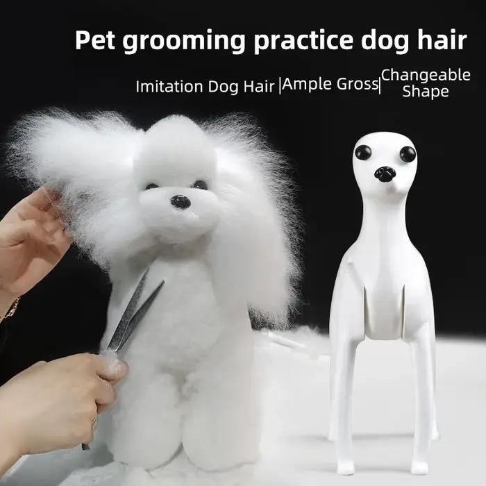 Modèle de chien squelette intégral standard pour toilettage d'animaux, simulation de beauté et d'entraînement pour coiffeurs canins