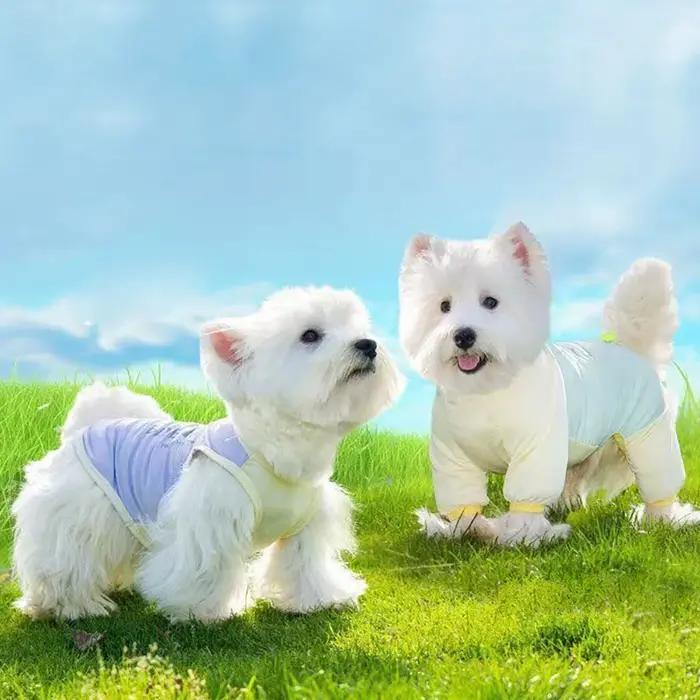Veste rafraîchissante en fibre pour chiens protection solaire uv pour activités estivales chiens petites et moyennes tailles