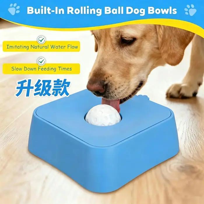 Bols amusants pour chat et chien