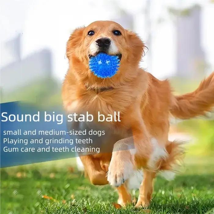 Jouet sonore durable en TPR pour chien et chat
