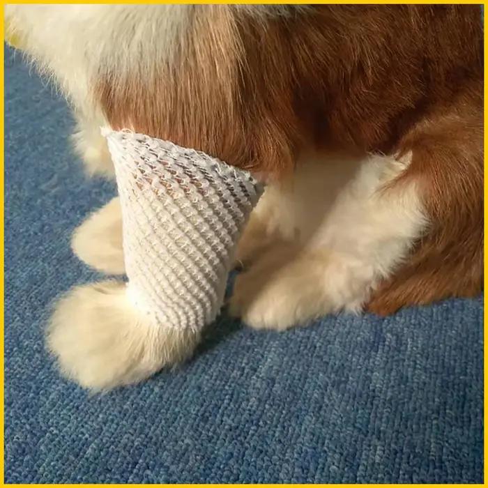Gaze élastique de stérilisation pour chiens et chats