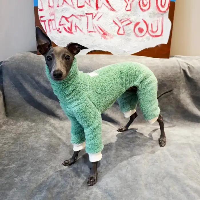 Vêtements d'hiver pour chiens souriants double face