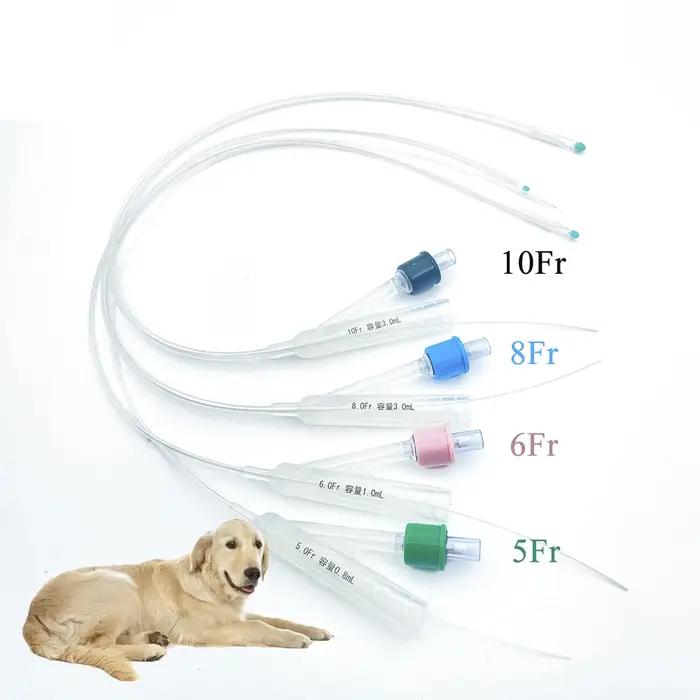 Cathéter urinaire pour chien canin à 2 voies