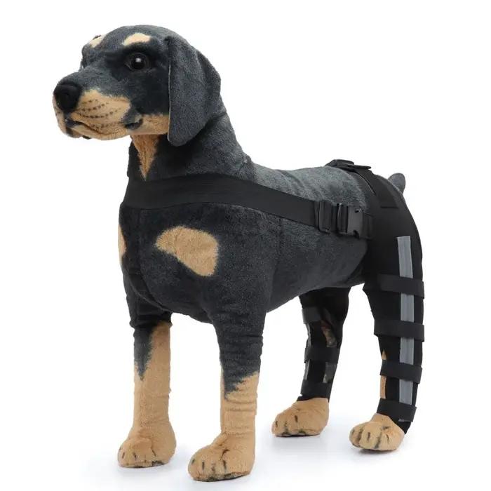 Attelle de soutien pour pattes arrière de chien âgé – Aide à la marche