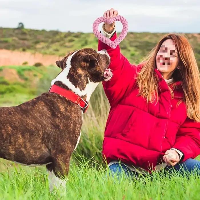 Jouet à mâcher pour chien en forme de cœur