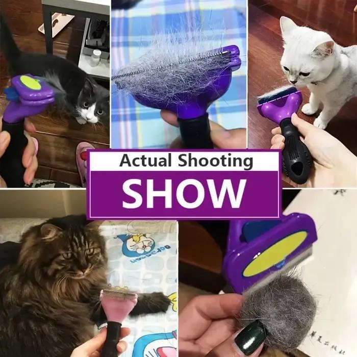 Brosse de toilettage pour chats et chiens