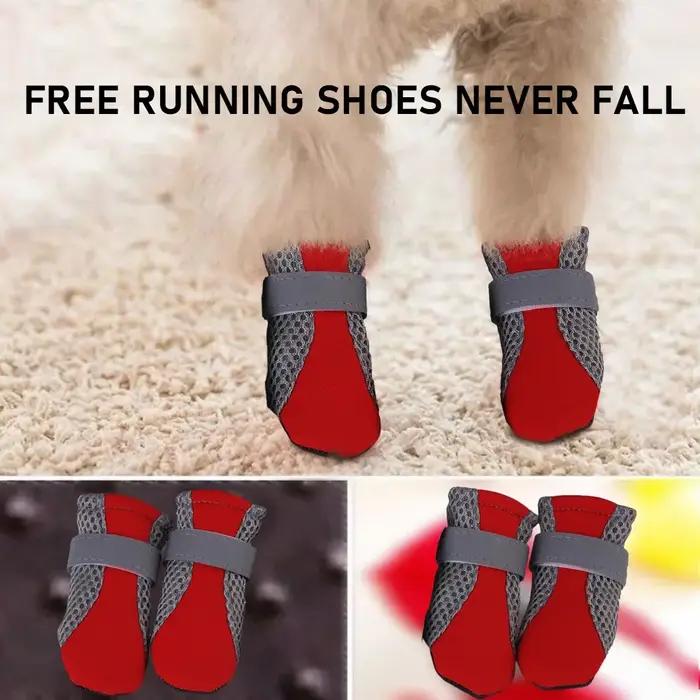 Chaussures pour animaux de compagnie