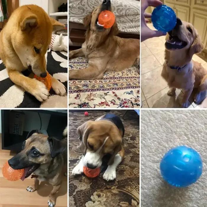 Jeux interactifs pour chiens