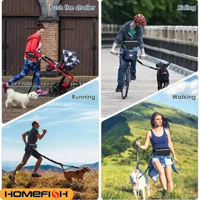 Laisse pour chien mains libres haute visibilité réfléchissante avec sac banane rétractable et élastique pour course et promenade occasionnelle et quotidienne