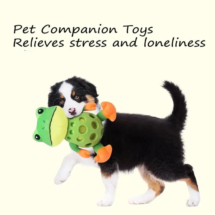 Jouet en peluche grenouille pour chien