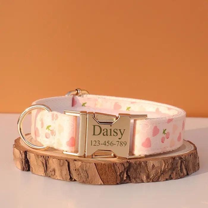 Collier de chien personnalisé