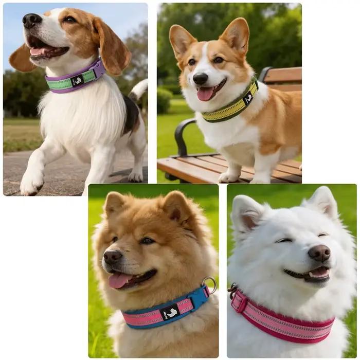 Collier pour chien respirant anti-étranglement