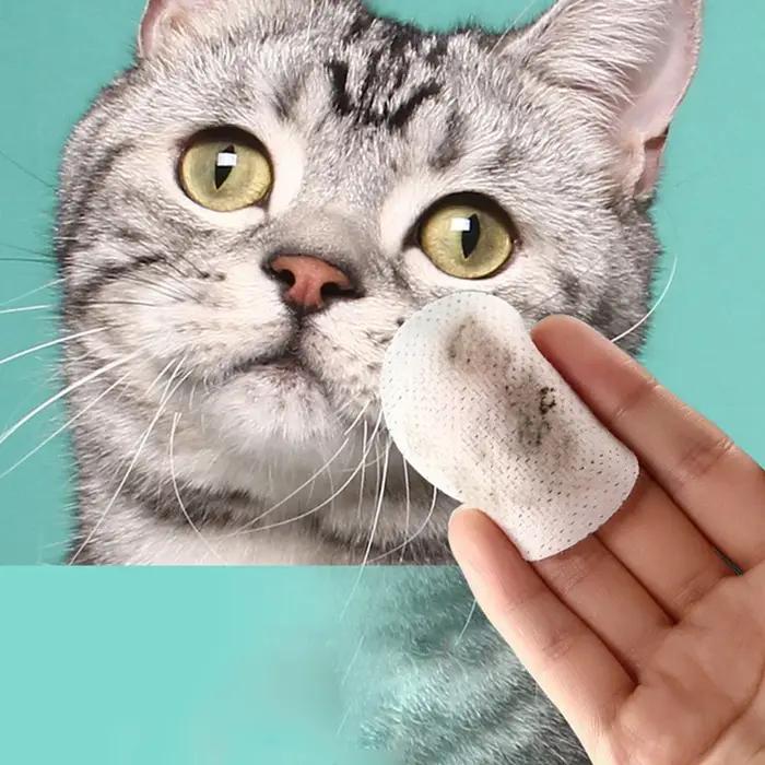 Lingettes pour les yeux pour animaux de compagnie