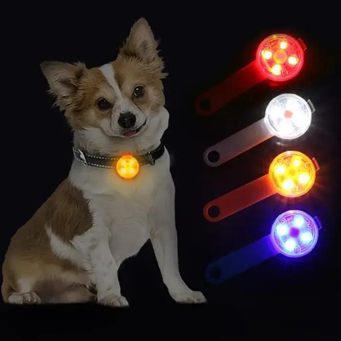 Collier de chien à lumière LED