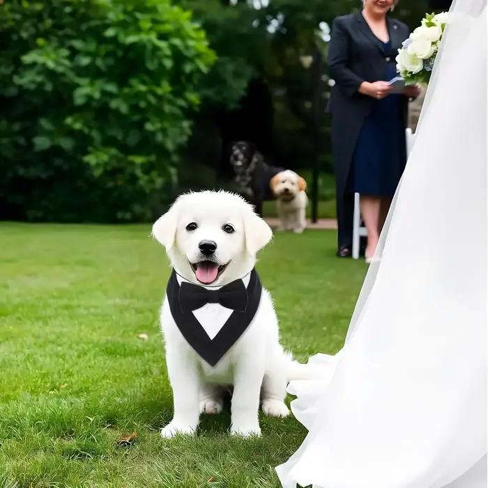 Sucado beau mariage chien Bandana costume élégant noeud papillon luxe triangulaire écharpe collier fiançailles fête cadeaux accessoires