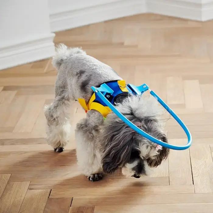 Harnais circulaire Anti-Collision réglable pour chien aveugle