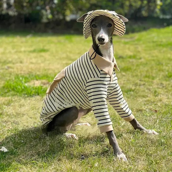 Ensemble de vêtements pour Whippet en coton kaki avec polo à rayures, chapeau et poche pour chien de chasse italien pour printemps et automne