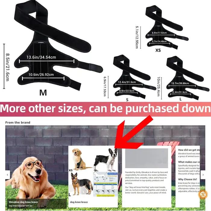 Genouillère solide pour chiens tissu pour soutenir jambes avant arrière blessées accidents chirurgie soins vétérinaires