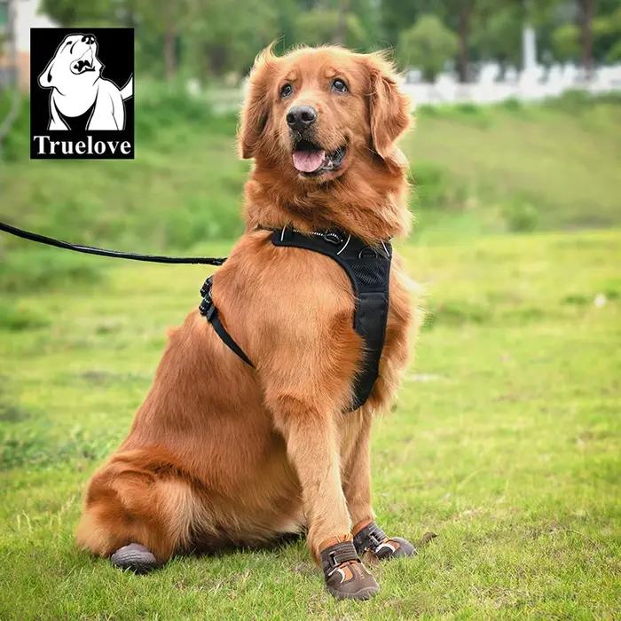 Chaussures pour chiens Truelove pour bottes et protections de pattes