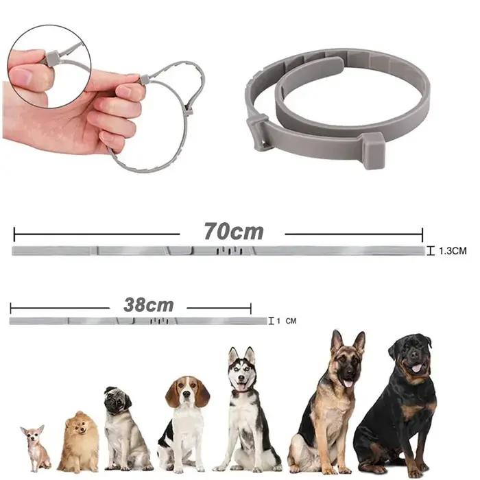 Collier VIP pour chien et chat