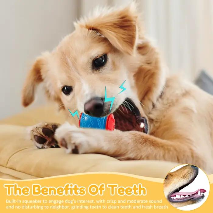 Boules grinçantes pour chiens, 6 pièces, jouets interactifs TPR, jouet à mâcher pour chien, nettoyag