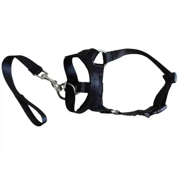 Harnais de dressage créatif pour chien