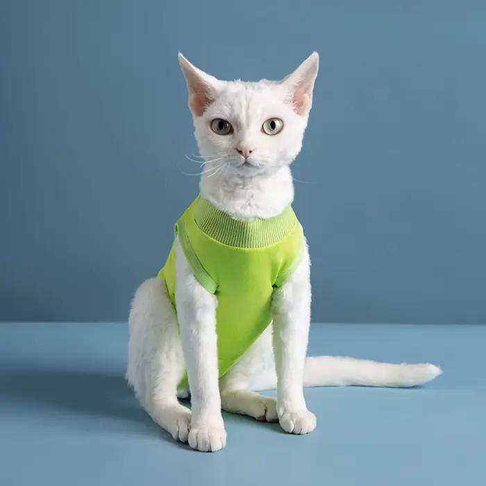 Vêtements pour chat, combinaison de récupération pour petit chien