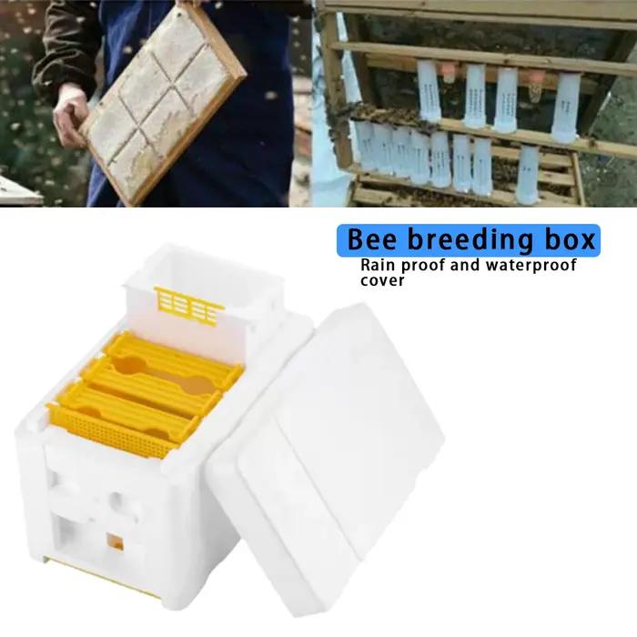 Boîte d'élevage d'abeilles reine, boîte d'accouplement d'élevage d'abeilles, boîte de polinination de ruche en mousse, outils pour l'apiculture, étui d'élevage, équipement pour l'apiculture