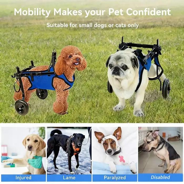 1 pièce Chariot de marche pour animaux de compagnie