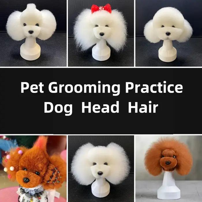 Tête de chien simulée pour la coiffure et la toilettage des animaux