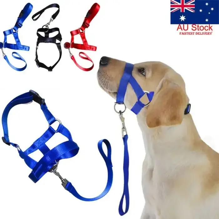 Harnais de dressage créatif pour chien