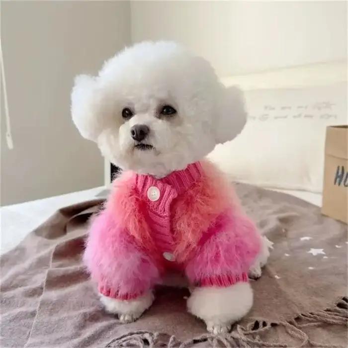 Pull en fausse fourrure blanc pour petits chiens Teddy Bichon Poméranien hiver confort sécurité