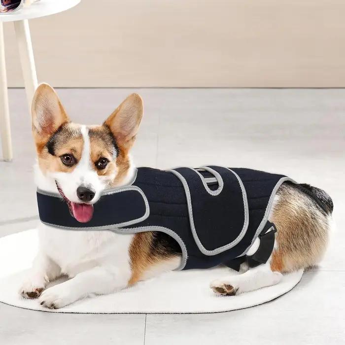 Attelle de soutien dorsal pour chien – Soulage la dysarthrose vertébrale