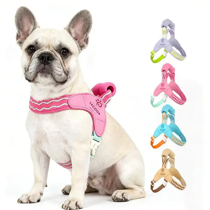 Harnais pour chien Saddle Saddle