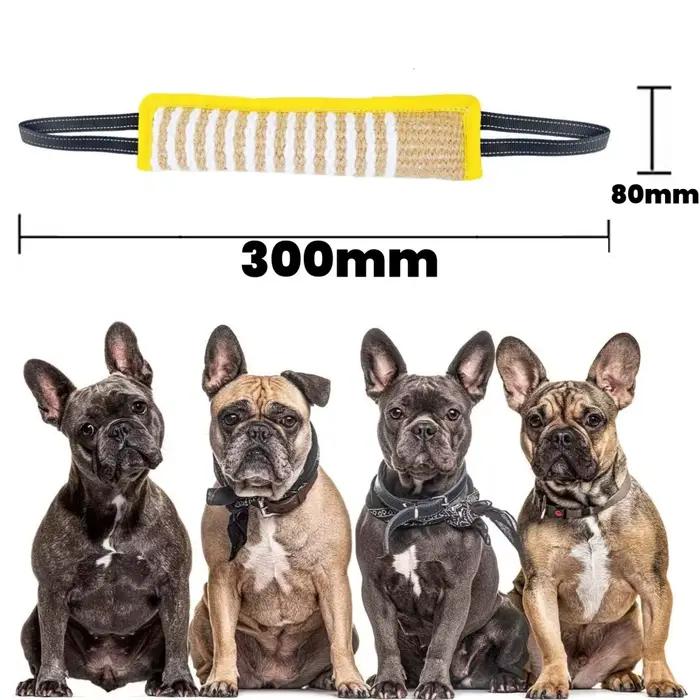 Jouets d'entraînement pour chiens