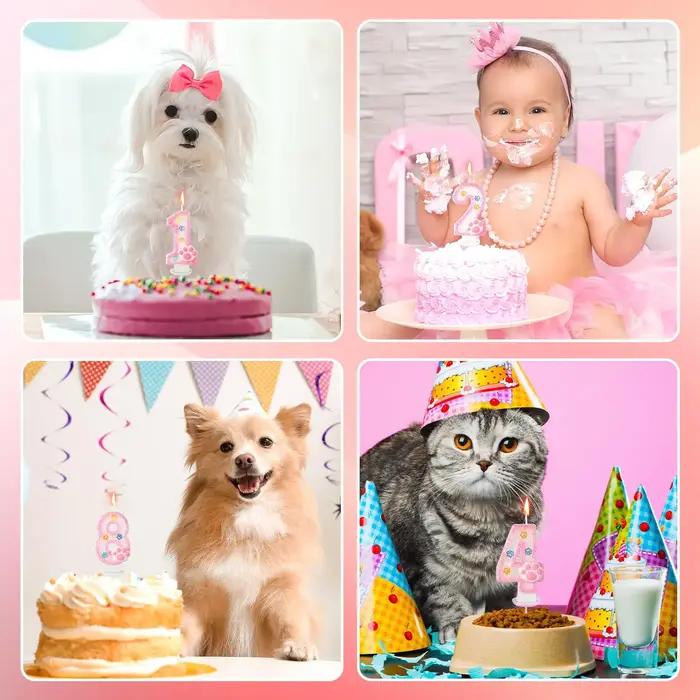 Décorations de gâteau et de cupcakes en forme de patte pour chien et chat, bougie de 3ème anniversaire, pour fête sur le thème des animaux, décorations d'anniversaire, fournitures pour célébrations