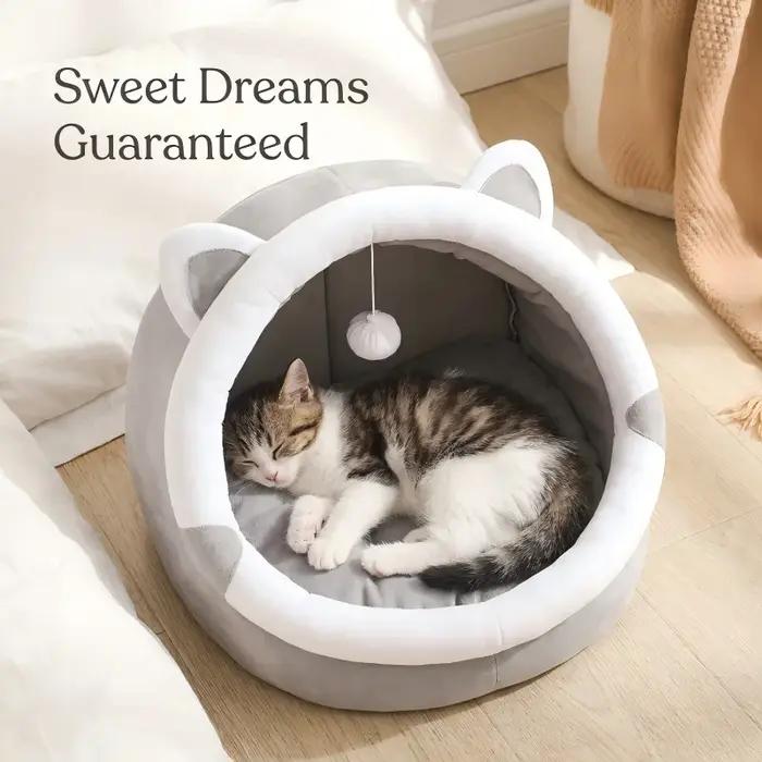 Nouvelle maison pour chat