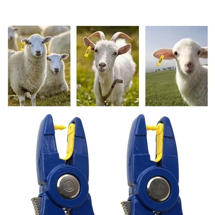 Marque d'oreille intégrée pour porcs