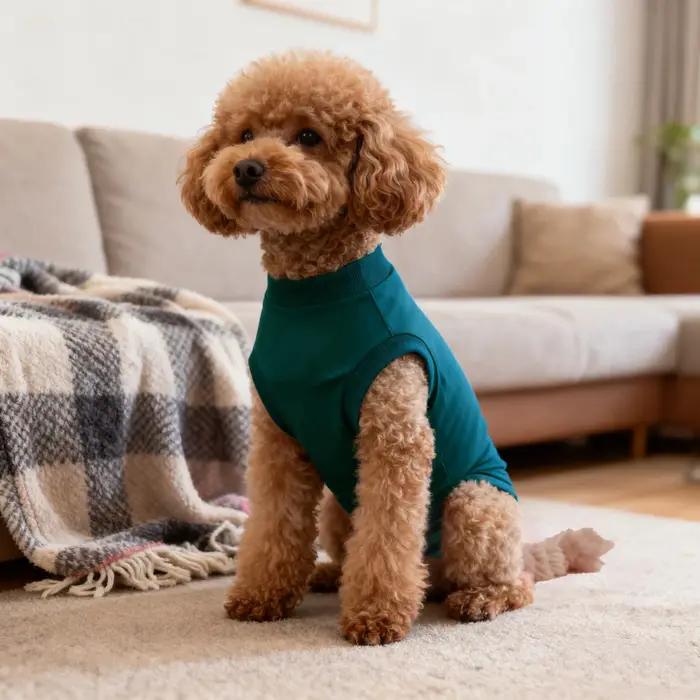 Combinaison de récupération post-opératoire pour chien