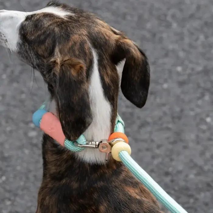 Laisse de traction pour chien de 1,8 m avec protection de cou, laisse de promenade multifonctionnelle pour chiens de taille moyenne à grande, laisse pour lévrier, accessoires pour chiens