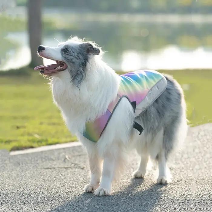 Veste arc-en-ciel pour petits et grands chiens