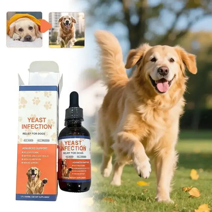 Gouttes anti-infections à la levure pour chiens et chats