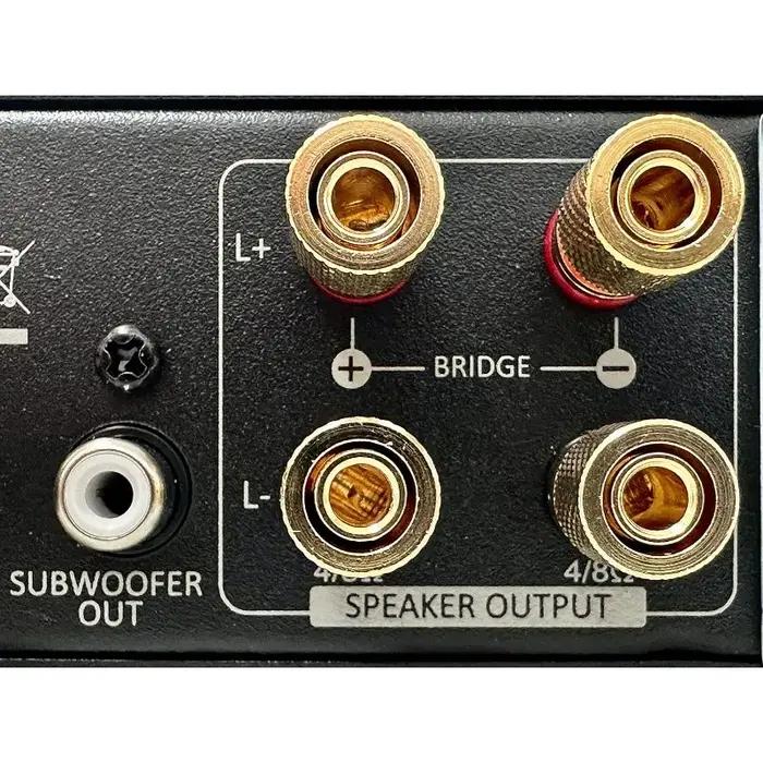 Kit de haut-parleurs arrière de son surround sans fil WSA-5RP-PLUS avec amplificateur 2x100W intégré