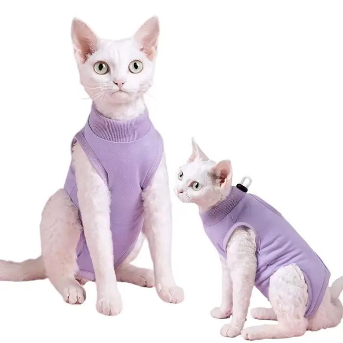 Vêtements pour chat, combinaison de récupération pour petit chien