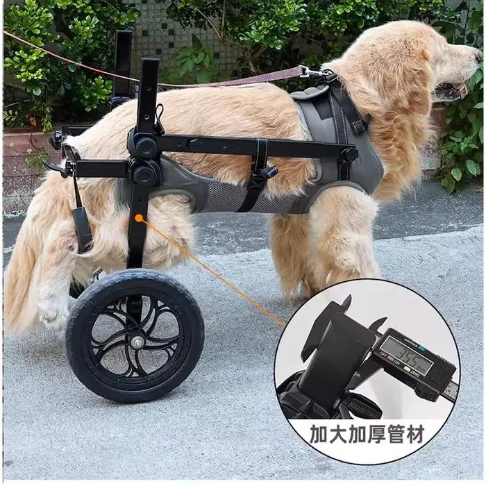 Chaise roulante pour chien