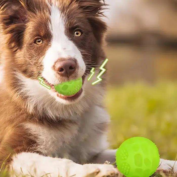 Balle de jouet pour chien qui brille dans la nuit