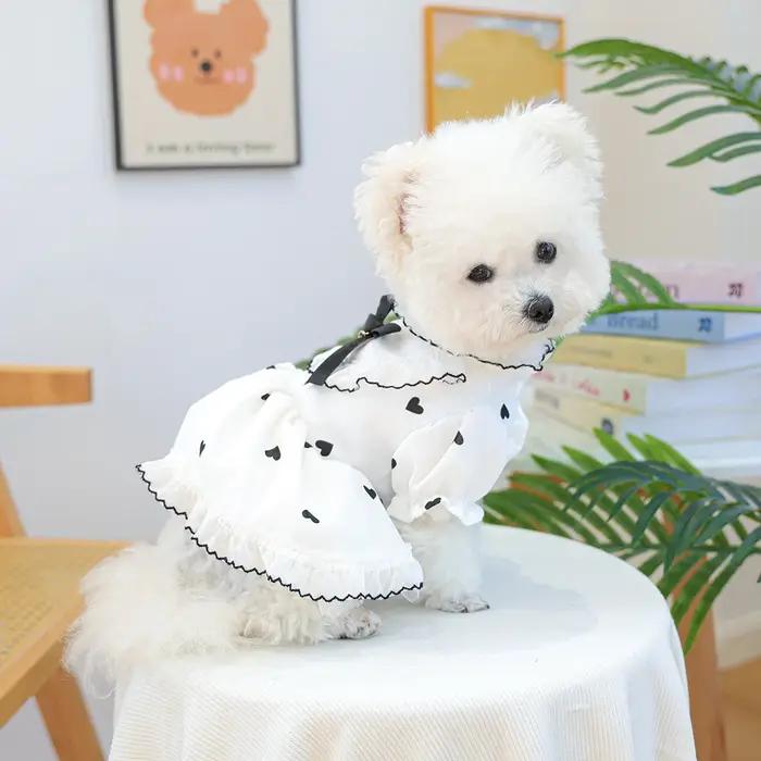 Robe en dentelle romantique et douce pour chien de printemps et d'été en rose et blanc pour promenades et événements spéciaux