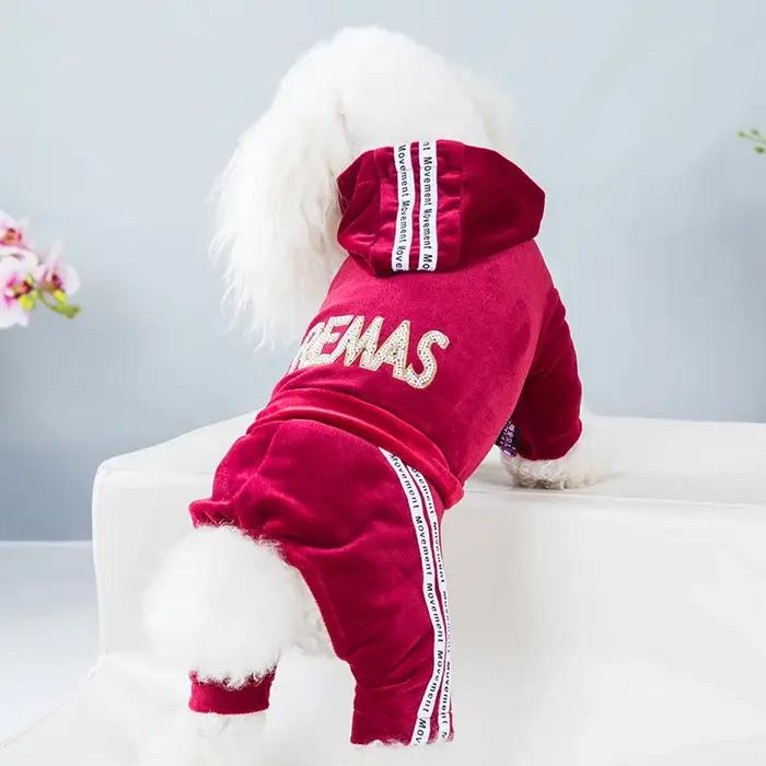 Vêtements de luxe en velours pour chien
