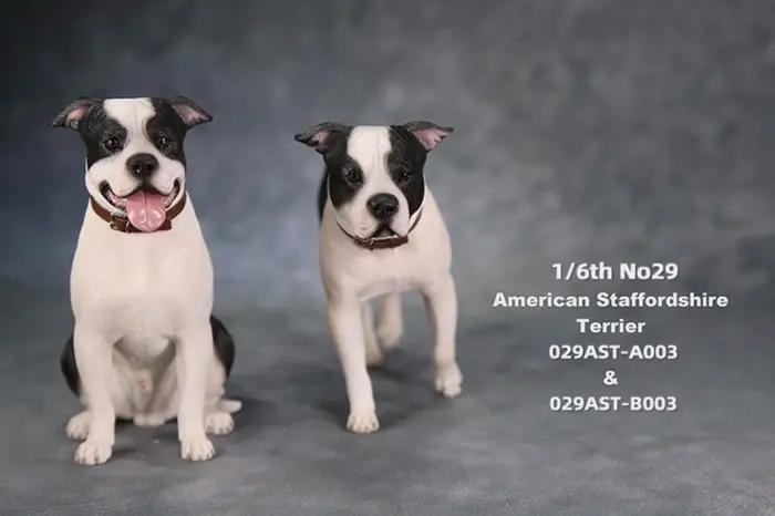 JXK Studio 1:6 Figurine de chien American Staffordshire Terrier