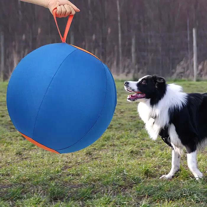Jouet de dressage pour chiens : balle d'entraînement